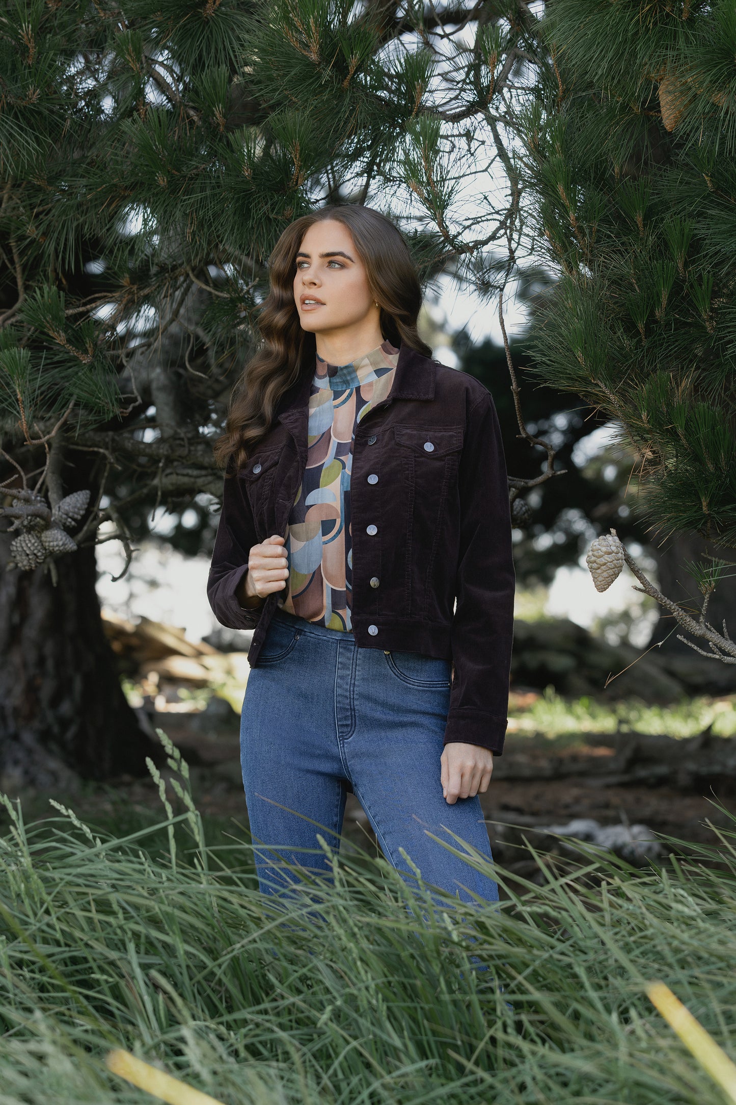 Vassalli - Bay Pull On Pant / 234DN