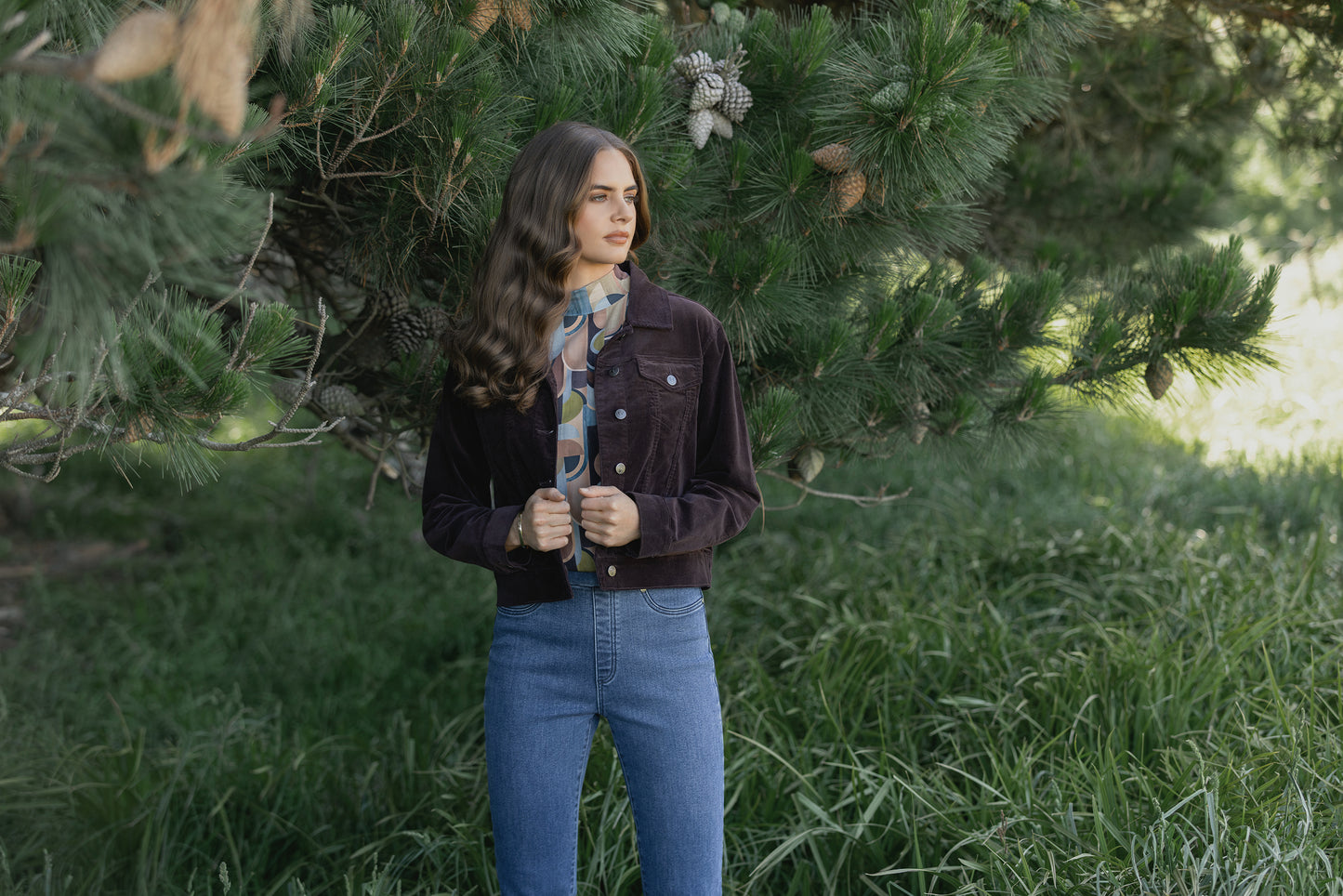 Vassalli - Bay Pull On Pant / 234DN